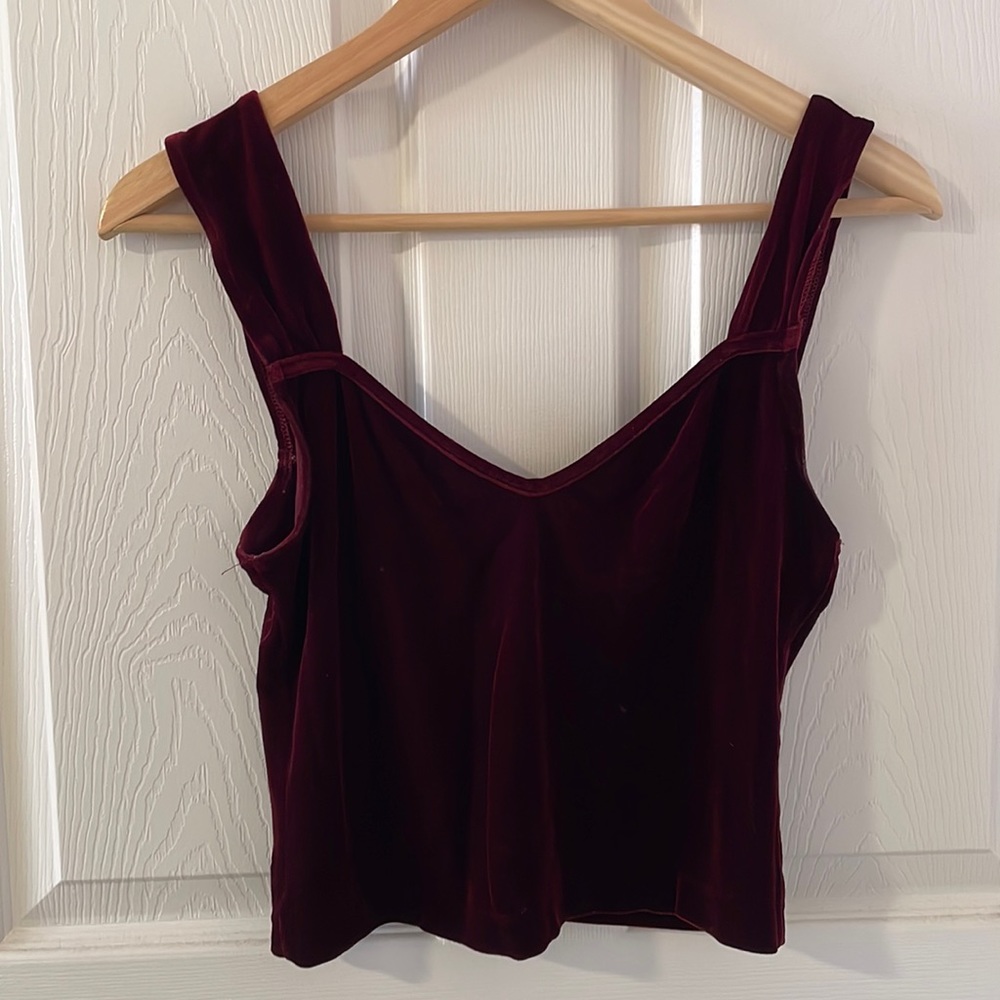 Red velvet cropped top